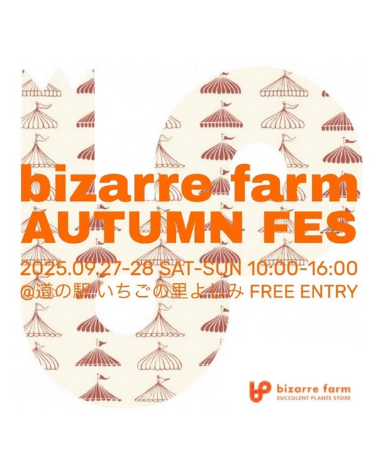 bizarre farm AUTUMN FESが2025年9月27日開催、道の駅いちごの里よしみでCACTUSTAR、野本植堂、310Plantsによるチーム友達合同出店を実施