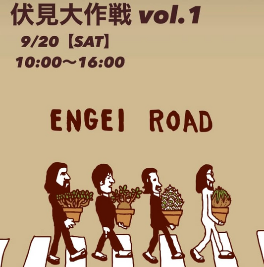MS Kyoto Plantsが伏見大作戦vol.1を2025年9月20日開催発表、京都市伏見区でアガベ・コーデックス・チランジアなどのビザールプランツイベントを実施