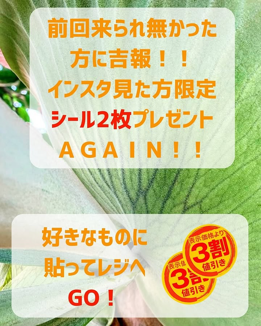 らくうぇるが3割引きシール2枚プレゼントキャンペーンを7月28日延長開催発表、神奈川県厚木市妻田西でインスタグラム連動割引企画を8月11日まで実施