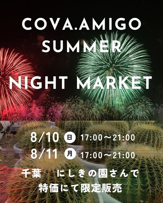 cova.amigoがCOVA.AMIGO SUMMER NIGHT MARKETを8月10日開催発表、千葉県東金市にしきの園でサボテン・アガベ実生苗特価販売を夜間実施