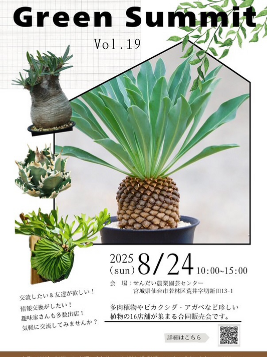 1000's BASEがGreen Summit vol.19を8月24日開催発表、宮城県仙台市せんだい農業園芸センターで多肉植物・ビカクシダ・アガベなど珍しい植物16店舗による合同販売会を実施