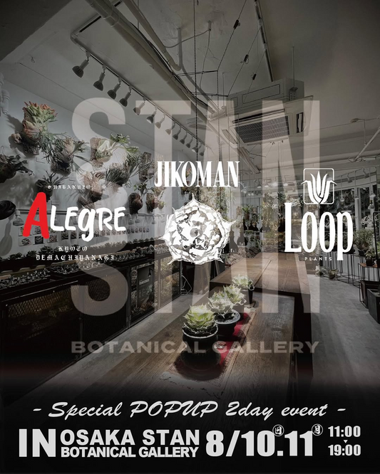 STAN BOTANICAL GALLERYがアガベ専門販売会を大阪で開催、アキラ・LOOP・ジコマンがスペシャルゲストとして参加