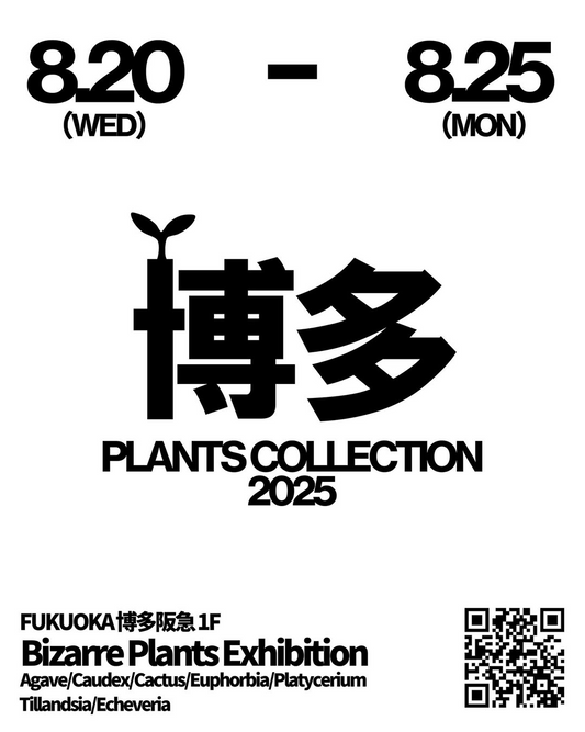 博多PLANTS COLLECTIONがビザールプランツ大規模イベントを福岡で開催、9専門ショップが統一コンセプトで新園芸スタイル提案
