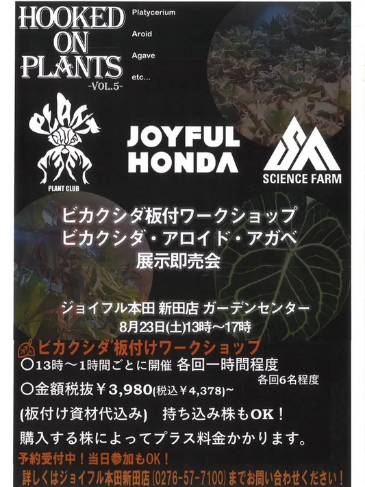 ジョイフル本田新田店がHOOKED ON PLANTS vol.5を開催、群馬でビカクシダ板付けワークショップとプラントクラブ・サイエンスファーム販売会実施