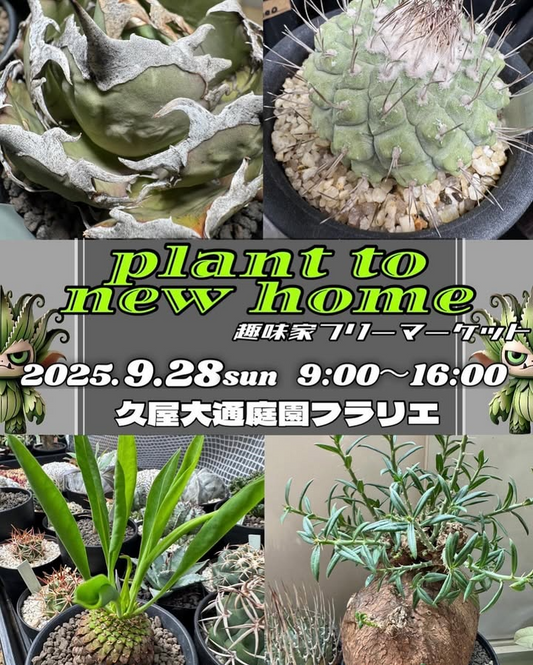 bwoocraftplantsがPlant to New Home趣味家フリーマーケットを名古屋フラリエで開催、サボテン・多肉植物・珍奇植物販売とキッチンカー5店舗出店実施