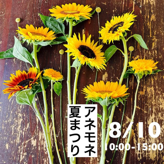 花屋anemoneがアネモネ夏祭りを8月10日開催、お花釣りと観葉植物ビンゴで植物体験を提供