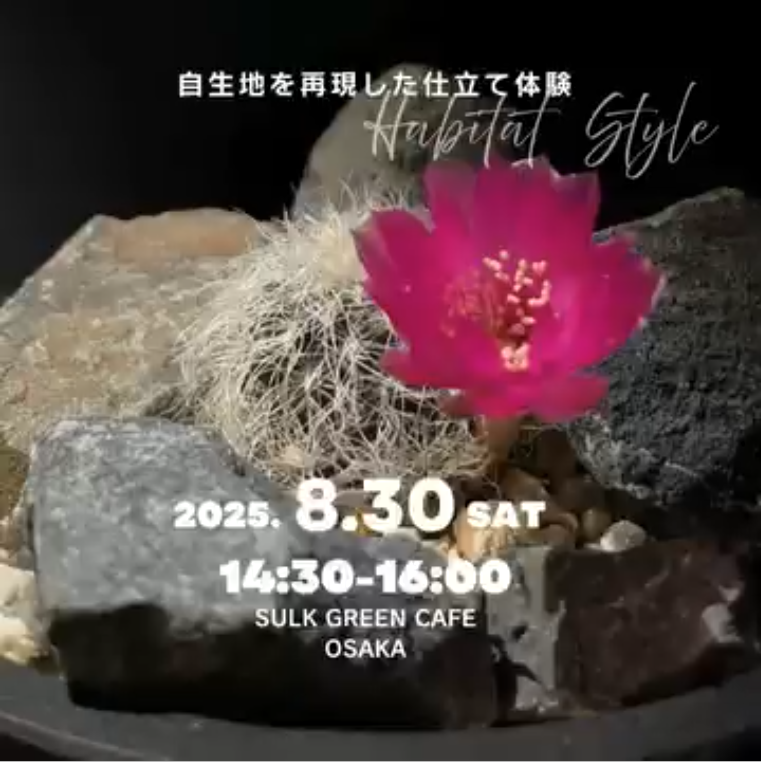 SULK GREEN CAFE OSAKAがハビタットスタイルワークショップ第二弾を8月開催、自生地再現仕立て体験に指定鉢持ち込みサービスを追加