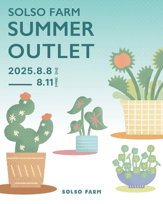 SOLSO FARMがSUMMER OUTLETを8月8日開催、植物関連商品の特価販売で今季最終セールを実施