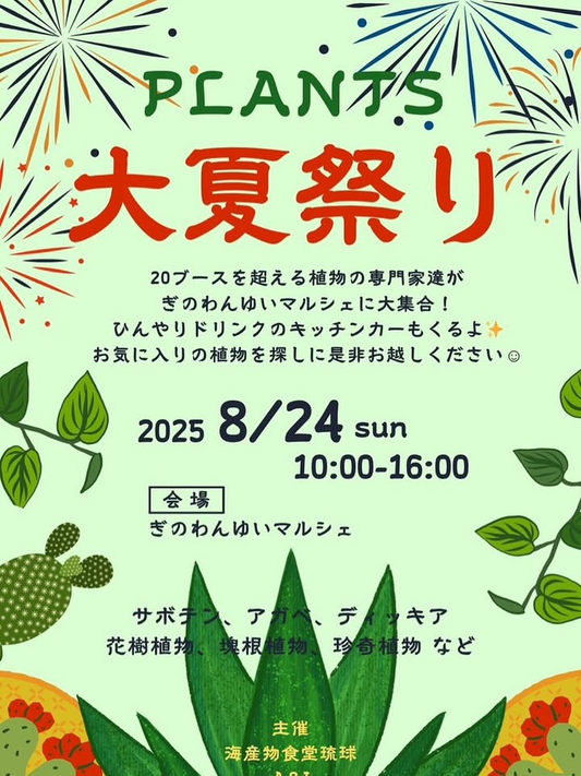 沖縄県宜野湾市がPLANTS 大夏祭りを8月24日開催、20ブース超の植物専門家がぎのわんゆいマルシェに集結