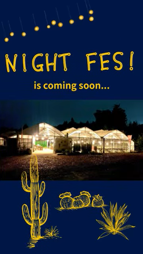 LadyBird succulents & cactiがNIGHT FES植物と灯りの夜市を8月30日開催、多肉植物とサボテンの夜間販売イベントを実施