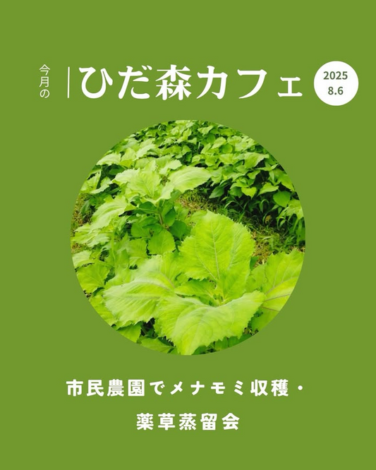 ひだ森カフェが市民農園でメナモミ収穫・薬草蒸留会を8月6日開催、岐阜で薬草体験と活用法シェアを参加費500円で実施