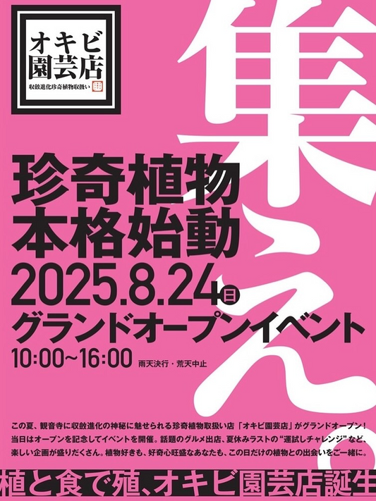 オキビ園芸店が香川県観音寺市でグランドオープンイベントを8月24日開催、珍奇植物オークションとゲーム機抽選会を実施