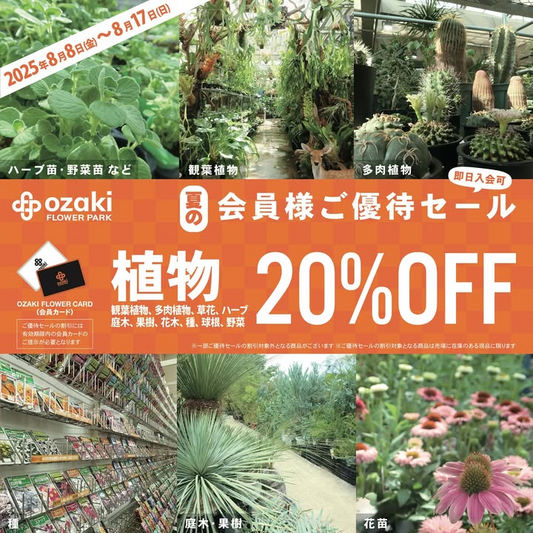 オザキフラワーパークが夏の会員様ご優待セールを8月8日開催、東京練馬で植物20%OFF・園芸用品10%OFFの特大セールを実施