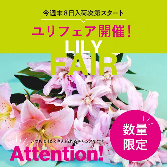 BIANCA BARNETと第一園芸が夏の花ユリフェアを8月8日開催、オリエンタルリリー5種を各1本550円の特別価格で4日間限定販売