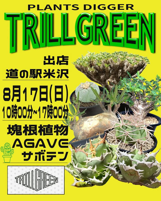 PLANTS DIGGERとTRILL GREENが8月17日山形米沢開催、道の駅米沢で塊根植物・アガベ・サボテン新入荷株を初心者歓迎で販売