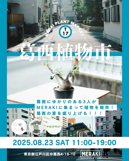 葛西植物市KASAI PLANT MARKET 2025が江戸川区で開催、地元植物好き3人とMERAKIが個性あふれる植物販売