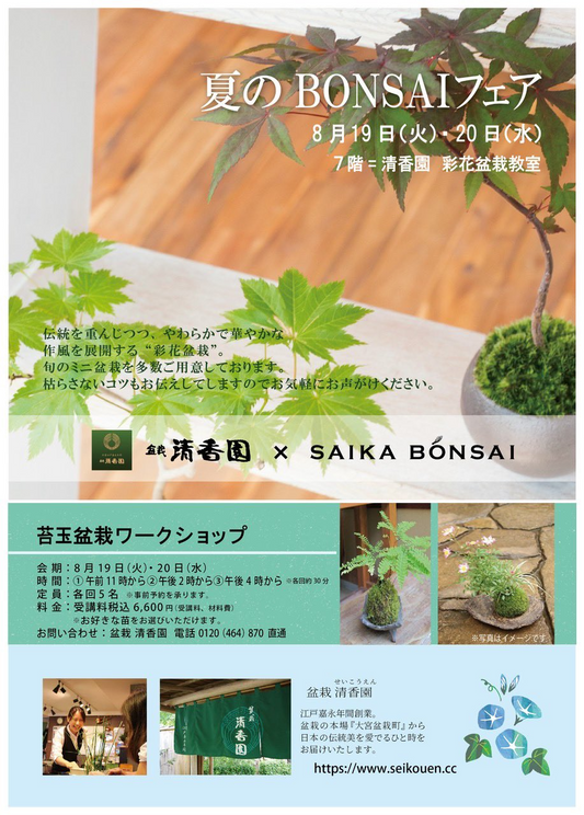 そごう横浜店で夏のBONSAIフェアと苔玉ワークショップを開催、彩花盆栽による伝統園芸体験