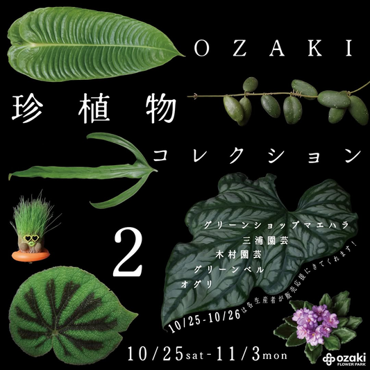 オザキフラワーパークがオザキ珍植物コレクション2 2025を開催、5つの専門生産者による珍植物販売イベント