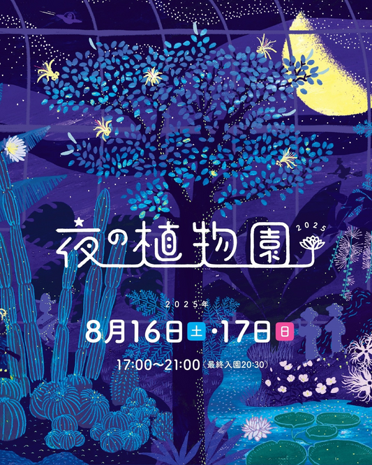 高知県立牧野植物園が夜の植物園2025を開催、夜咲き植物観察とザーバオバブ用観賞タワーで神秘的な植物体験を提供