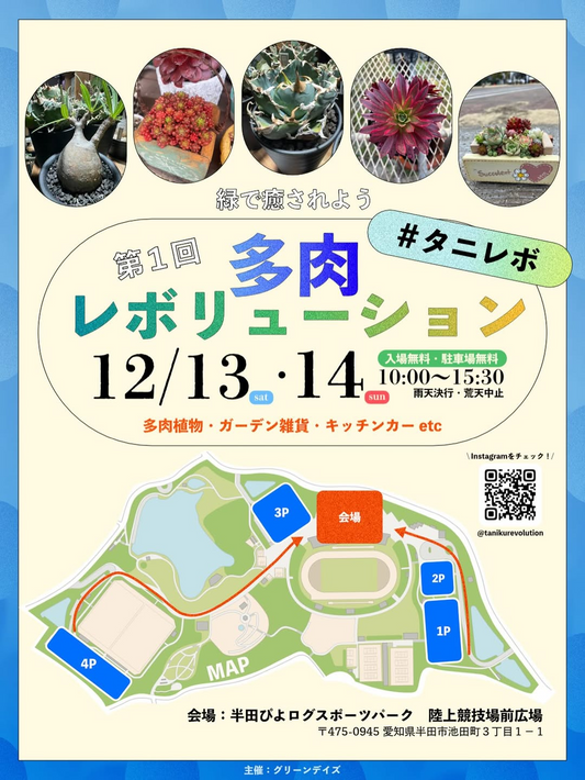 半田ぴよログスポーツパークが第1回多肉レボリューション2025を開催、愛知県知多半島の新たな多肉植物文化創造イベント