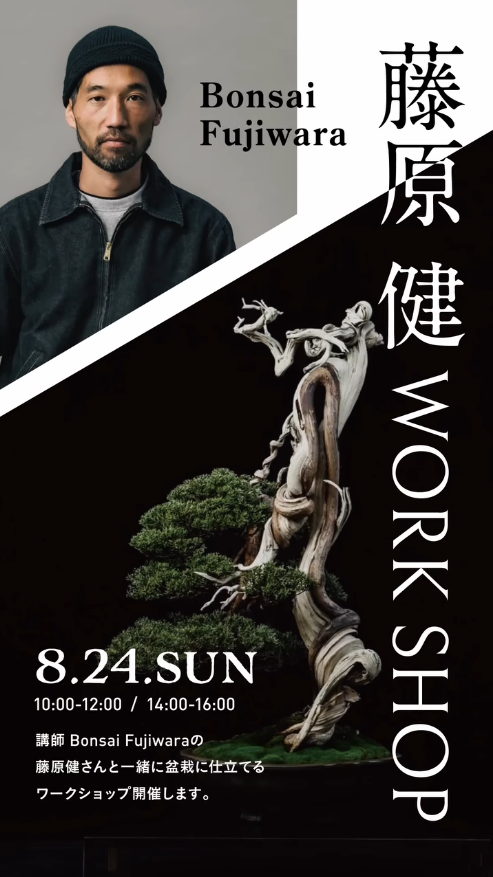 Gift&Gallery匁が藤原健盆栽教室ワークショップ2025を開催、岐阜県美濃市で松柏類を使用した盆栽作り体験