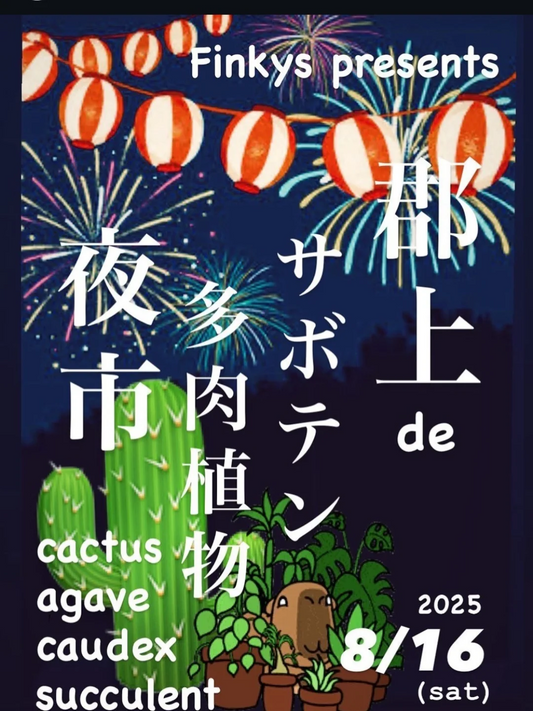cafe Finkysが郡上 de サボテン 多肉植物 夜市2025を開催、コーデックスやアガベ販売と交流親睦イベント