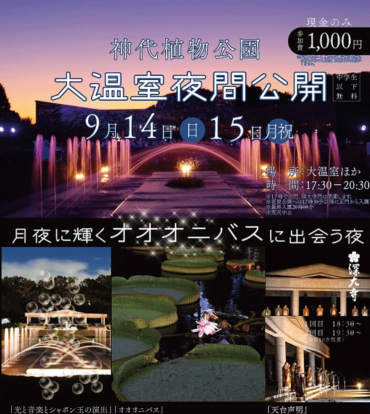 神代植物公園が秋の大温室夜間公開2025を開催、オオオニバスや声明公演と夜カフェで調布市の夜を彩る