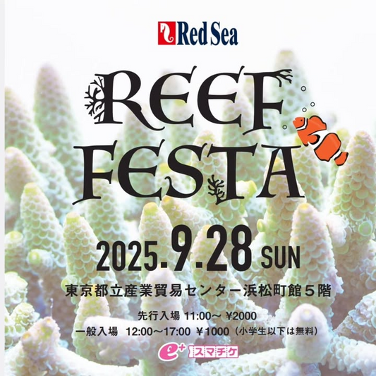 REEF FESTA 2025が東京で開催、日本初のマリンアクアリウム専門イベントが浜松町館で実施