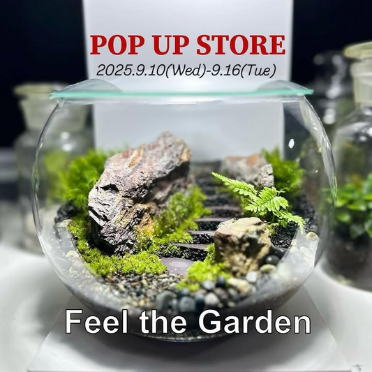 博多阪急百貨店がFeel The Garden POP UP 2025を開催、テラリウム作家3組によるワークショップと作品販売