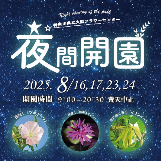 大船フラワーセンターが夏の夜間開園2025を開催、夜間植物観賞とプチ縁日で家族連れに人気
