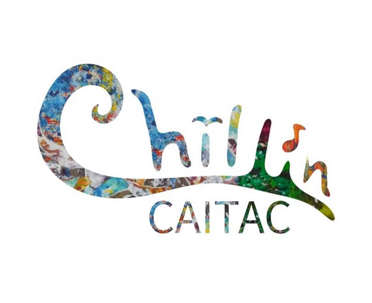 Chill in CAITAC 2025が福岡で開催、EARTHWALK PLANTSなどボタニカル枠3組がアガベと塊根植物を販売