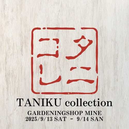 ガーデニングショップマインがTANIKU collection2025を9月13日・14日開催、多肉植物専門17店舗が出展でエケベリア展示販売