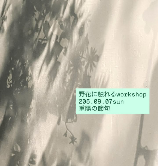 hocギャラリーが野の花に触れるworkshop2025を9月7日開催、重陽の節句にちなんだ野菊を中心とした秋草アレンジメント作り