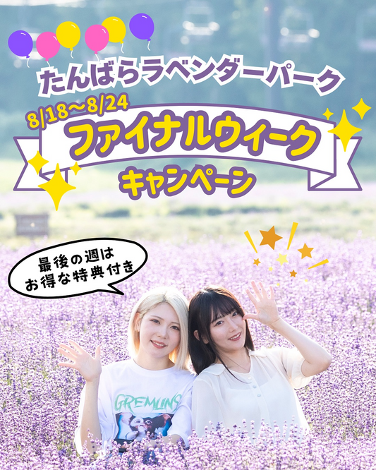 たんばらラベンダーパークがファイナルウィークキャンペーン2025を8月18日から24日開催、コキアガーデン入園割引券とロッキーマウンテンフードサンプルプレゼント