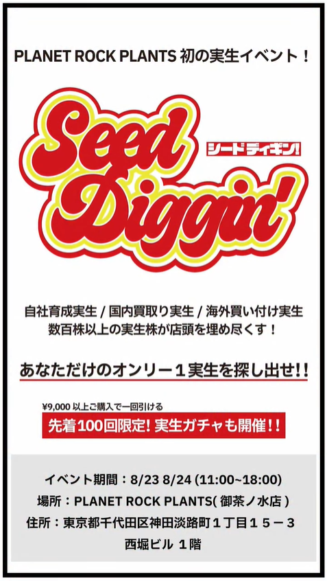 PLANET ROCK PLANTSがSeed Diggin'2025を8月23日・24日開催、初の実生株販売会でオテロイ実生を均一価格制で販売