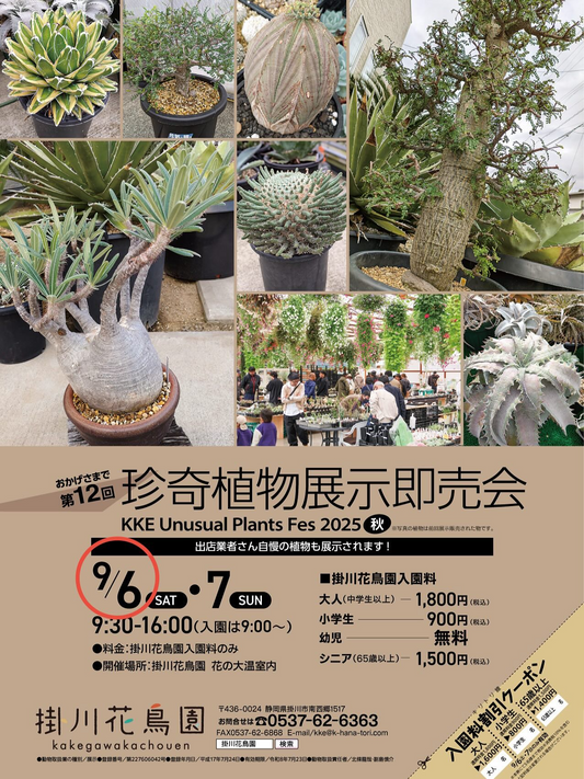 掛川花鳥園が第12回 KKE Unusual Plants Fes2025秋を9月6日・7日開催、サボテン・多肉植物・コーデックス・アガベ・ブロメリア等の珍奇植物展示即売に県内外20社以上出店