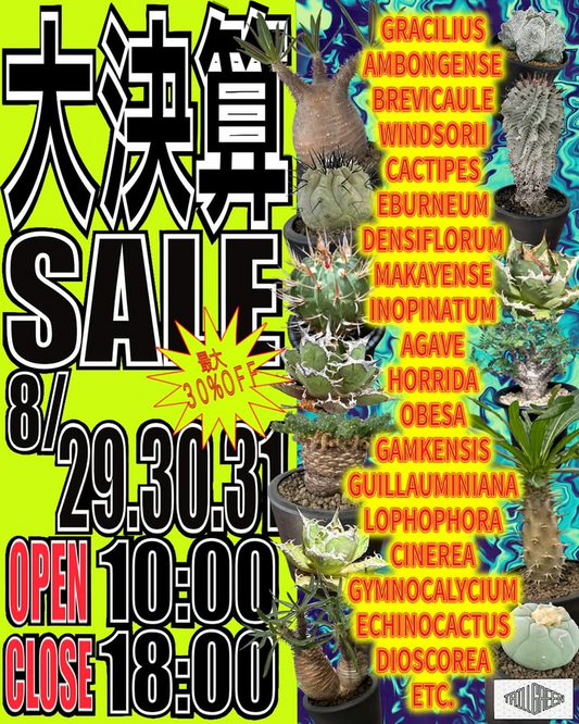 TRILLGREENがTRILLGREEN大決算SALE 2025を8月29日・30日・31日開催、店内植物最大30%OFFとオリジナルTシャツ・アガベラグ店頭販売実施