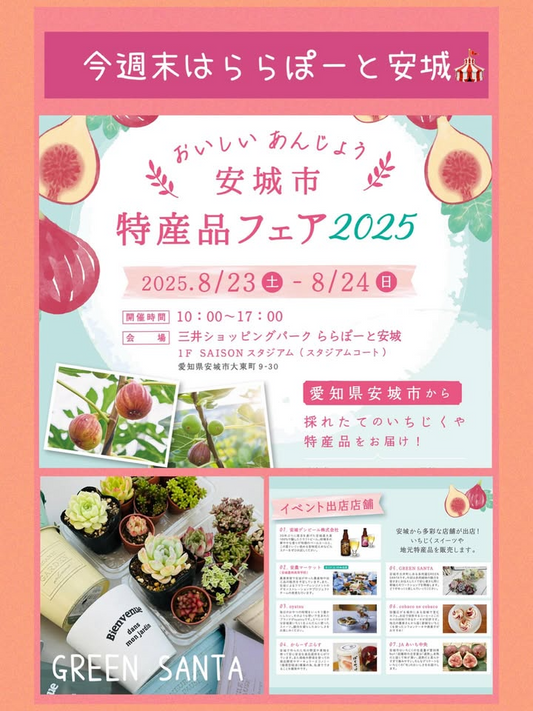 おいしいあんじょう特産品フェア2025がららぽーと安城で開催、いちじくなど特産品販売と多肉植物体験を実施