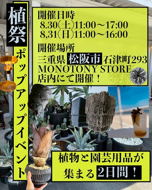 Plants Bakaが松阪市で植祭ポップアップイベント2025を開催、アガベ生産者や植物工房が出展し多肉植物愛好家の注目を集める