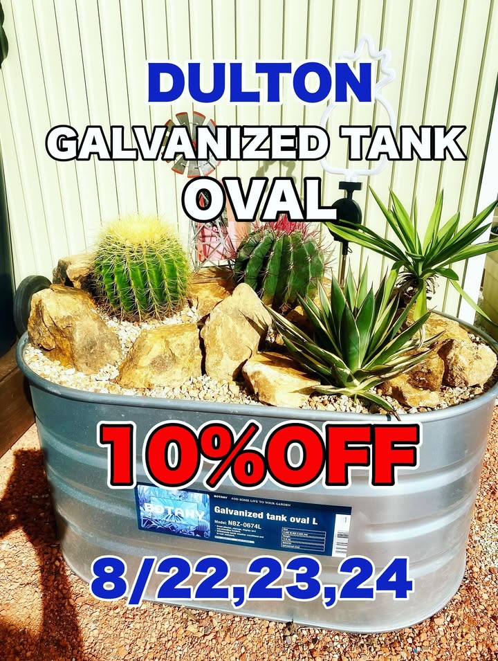 ALISFY GENERAL STOREがSUMMER SALE 2025を開催、DULTON GALVANIZED TANK OVALを10%OFFで期間限定販売