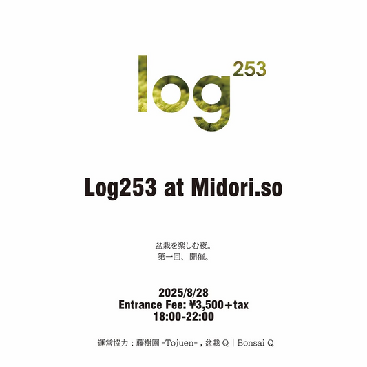 Log253が盆栽を愉しむ夜第一回を2025年8月28日に開催、専門家トークセッションと即売会で盆栽文化の普及を推進