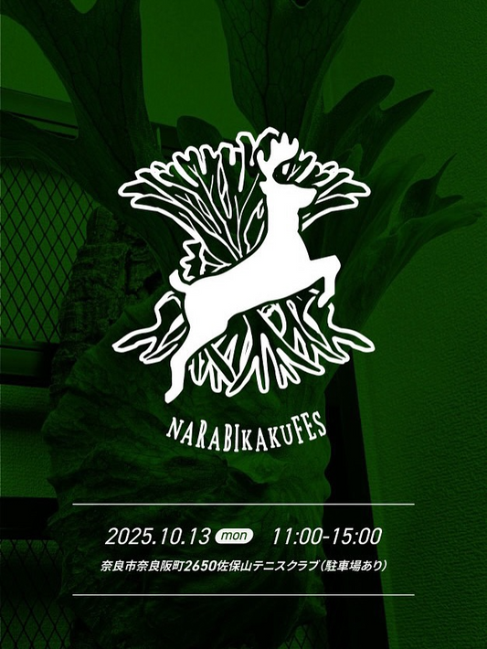NARA BIKAKU FES 2025が10月13日に開催、佐保山テニスクラブでビカクシダ中心の展示販売とFOOD出店が集結