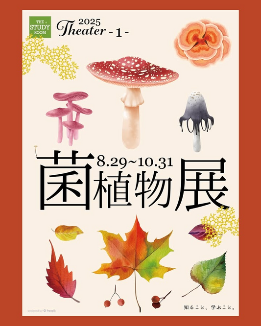 スタディールーム上野店が菌植物展2025を開催、Theater1で菌類図鑑展と多彩な作家出展が学びと体験に
