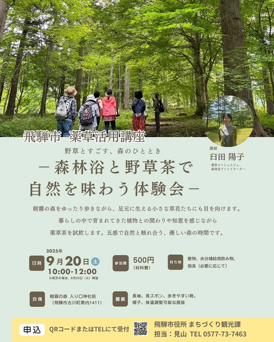 飛騨市が薬草活用講座を開催、朝霧の森で散策と薬草茶の体験が暮らしの知恵に結びつく