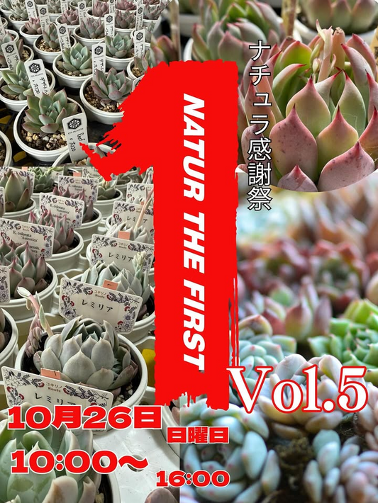 natur感謝祭 natur the first vol.5が福岡県広川町で10月26日開催、毎年開催は今年で最後の多肉植物感謝祭