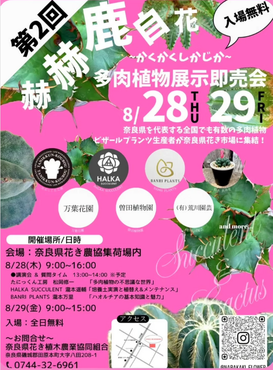 赫赫鹿自花多肉植物展示即売会2025が奈良県田原本町で8月28日・29日開催、県内外有名生産者集結でビザールプランツ展示販売
