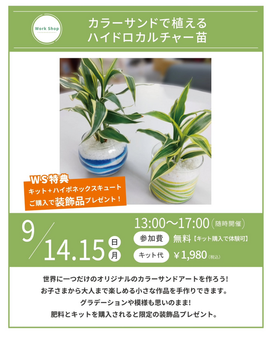 プロトリーフ二子玉川本店がカラーサンドで植えるハイドロカルチャー苗ワークショップ2025を開催、親子で楽しむ創作と植栽体験に