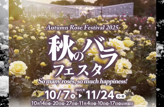 神代植物公園が秋のバラのフェスタを開催、大温室・ばら園で多彩なバラ展示を一般500円で提供