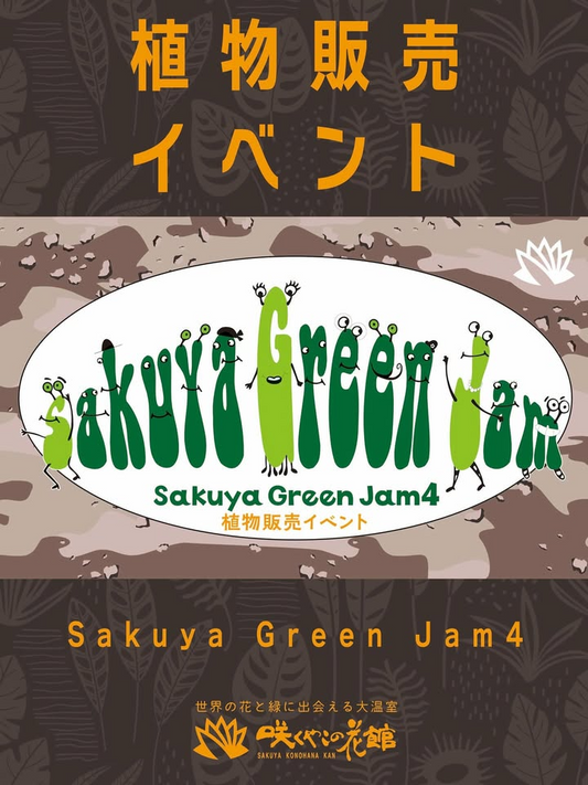 Sakuya Green Jam4が咲くやこの花館で9月開催、ビカクシダや珍奇植物を週替わり専門店が3週連続で展示販売