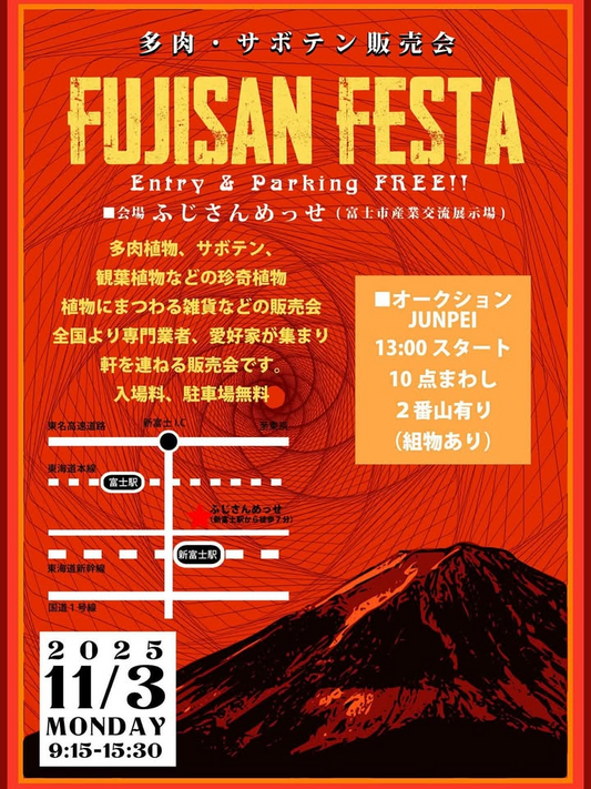 多肉・サボテン販売会FUJISAN FESTA 2025が11月3日開催、ふじさんめっせで全国の専門業者と愛好家が集結